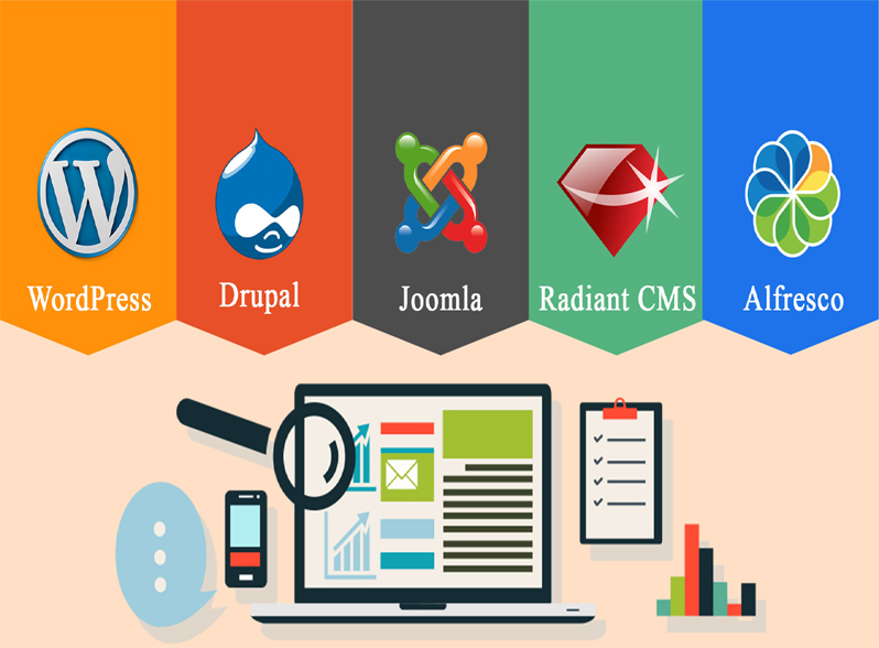 website designing company in vasant vihar, Seo services, Best hosting in vasant vihar